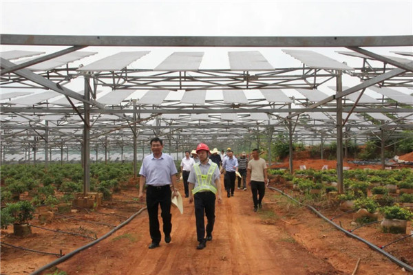 張小平赴景德鎮調研碳達峰碳中和工作