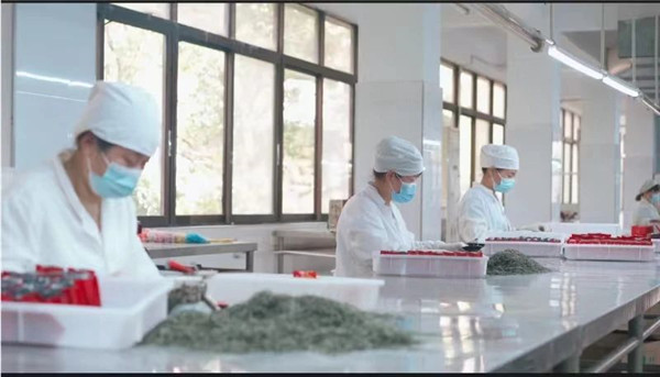 我市一企業連續23年獲評農業產業化國家重點龍頭企業 將投資14億元打造綠色循環現代化農業產業園