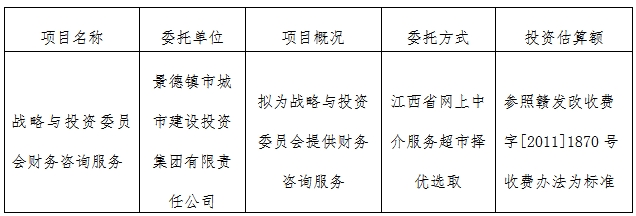 戰(zhàn)略與投資委員會(huì)財(cái)務(wù)咨詢服務(wù)計(jì)劃公告