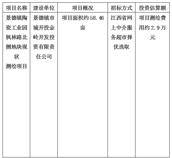 景德鎮陶瓷工業園楓林路北側地塊現狀