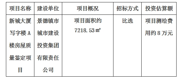 新城大廈寫字樓A樓房屋質量鑒定項目計劃公告