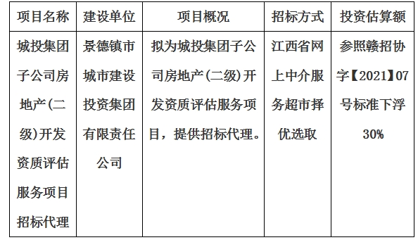 城投集團子公司房地產(二級)開發資質評估服務項目招標代理計劃公告
