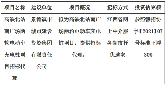 高鐵北站南廣場兩輪電動車充電樁項目招標(biāo)代理計劃公告